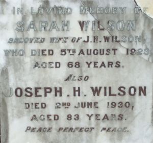 Sarah and Joseph H. Wilson