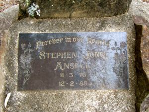 Ansell, Stephen John