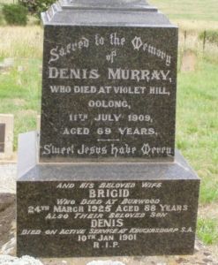 Denis Murray, Bridget Murray. Also a Memorial for their son Denis Murray, buried in Krugersdorp Cemetery, Gauteng, South Africa 