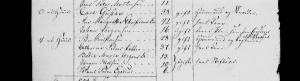 Denmark Census, 1834, Srslev, Skippinge, Holbk, Denmark
Parish: Srslev
District: Skippinge
County: Holbk 
Place name: Snrtinge Bye